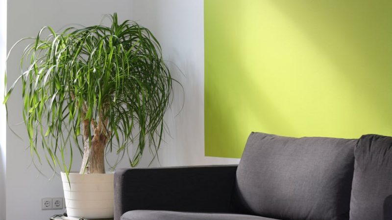 Лучший XIGMA кондиционер для Москвы